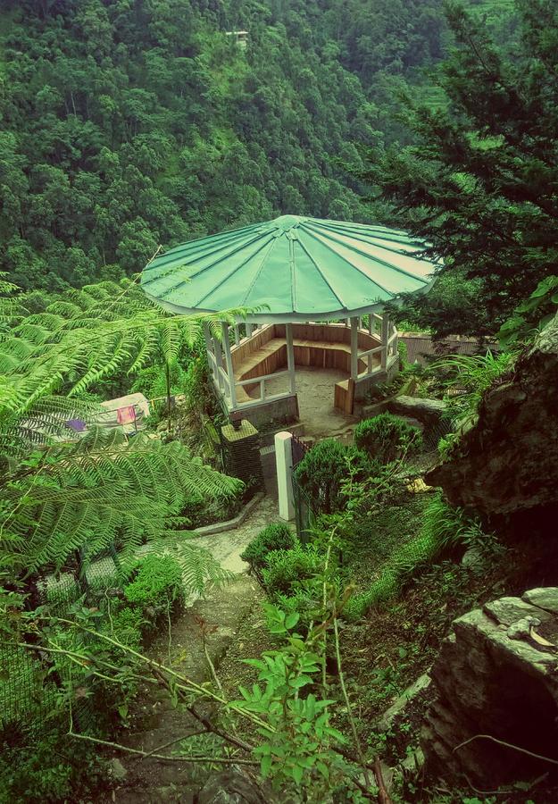 Enchanted Forest Farmstay Gangtok Exteriör bild
