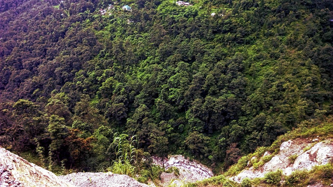 Enchanted Forest Farmstay Gangtok Exteriör bild