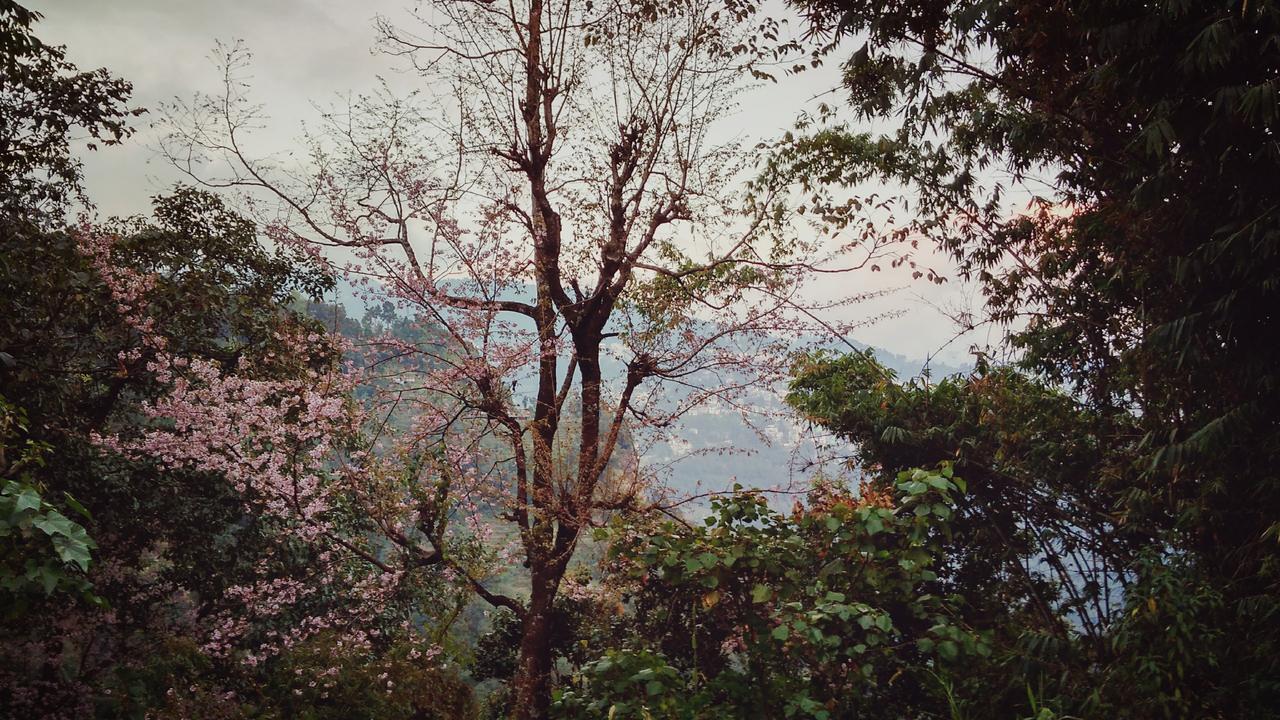 Enchanted Forest Farmstay Gangtok Exteriör bild
