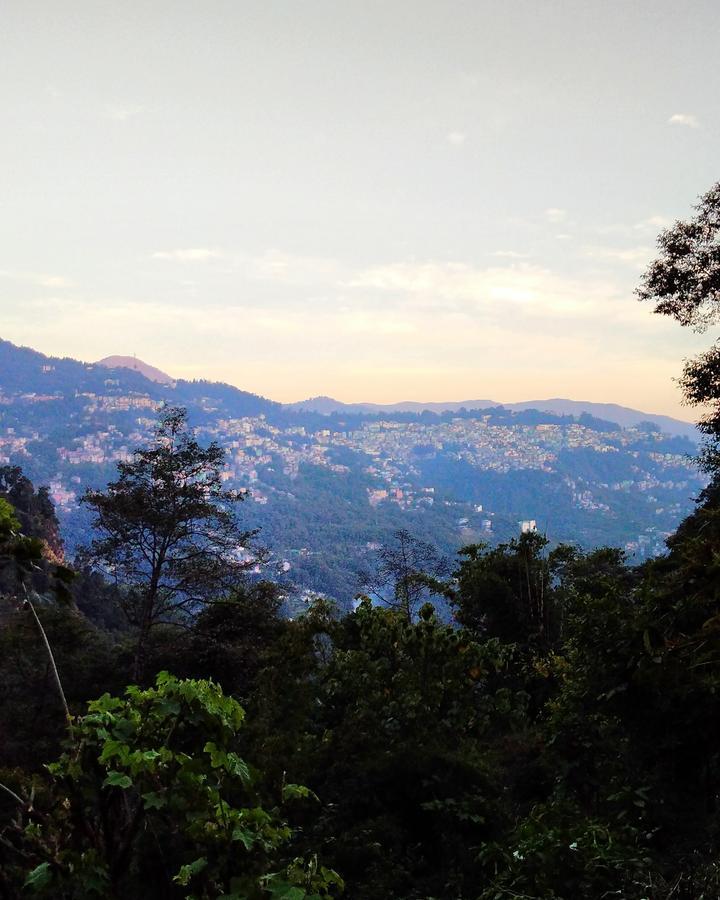 Enchanted Forest Farmstay Gangtok Exteriör bild