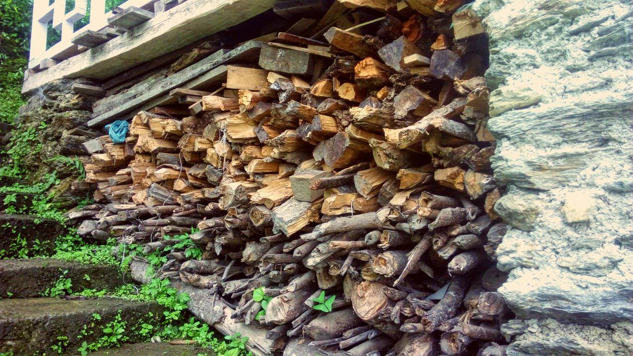 Enchanted Forest Farmstay Gangtok Exteriör bild