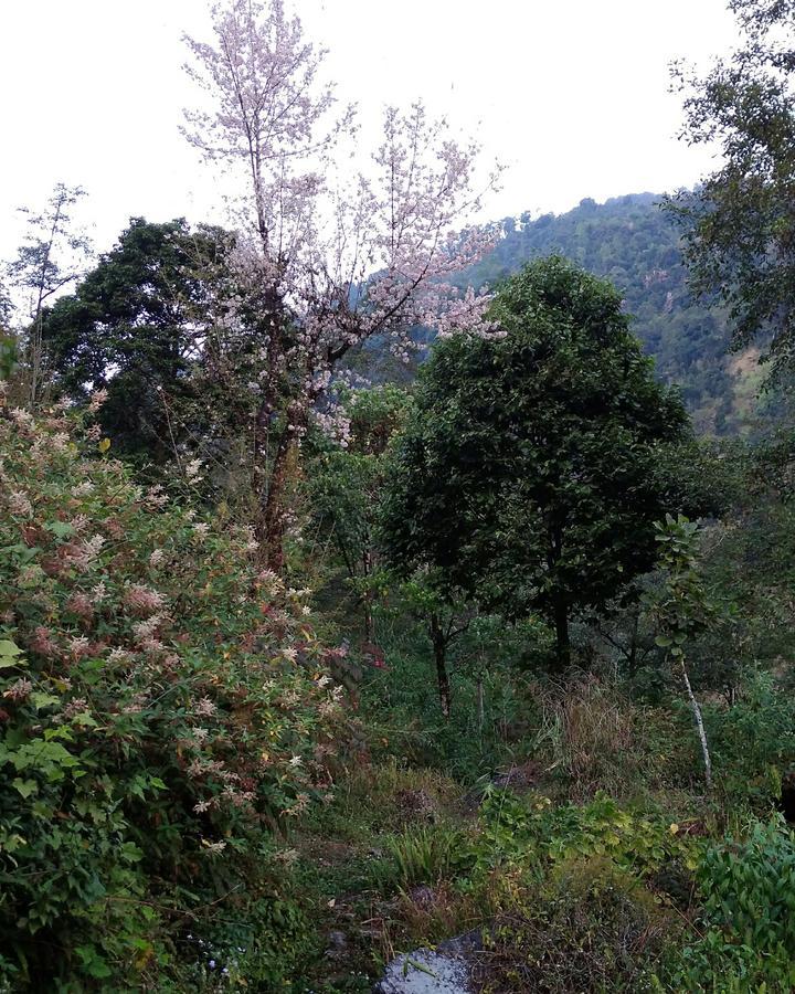 Enchanted Forest Farmstay Gangtok Exteriör bild