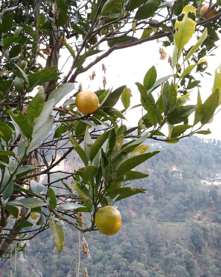 Enchanted Forest Farmstay Gangtok Exteriör bild