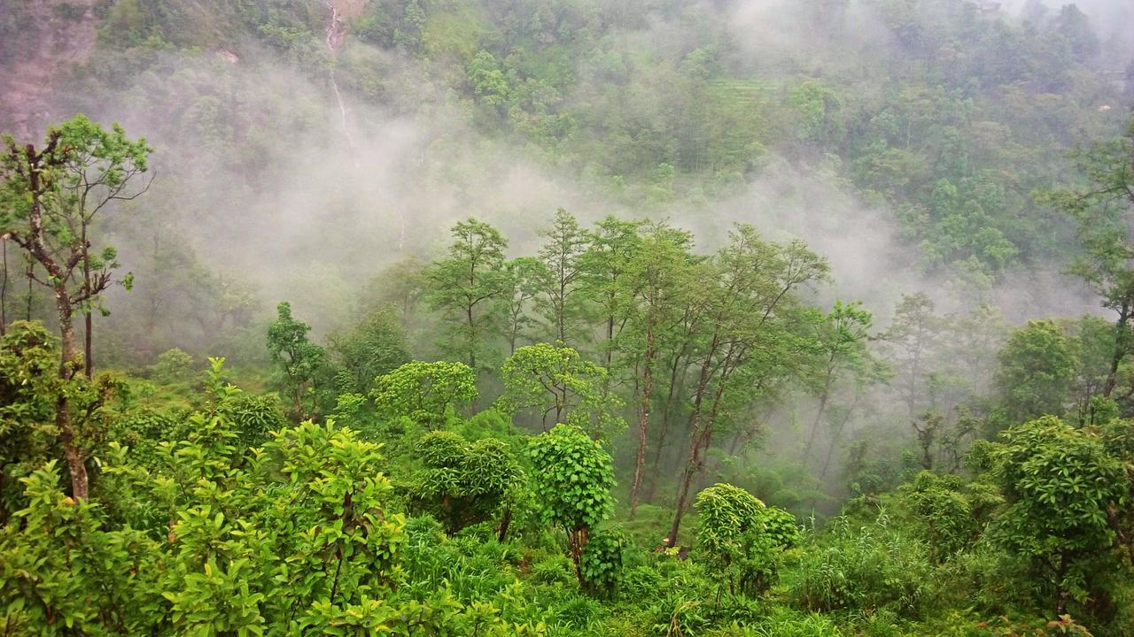 Enchanted Forest Farmstay Gangtok Exteriör bild