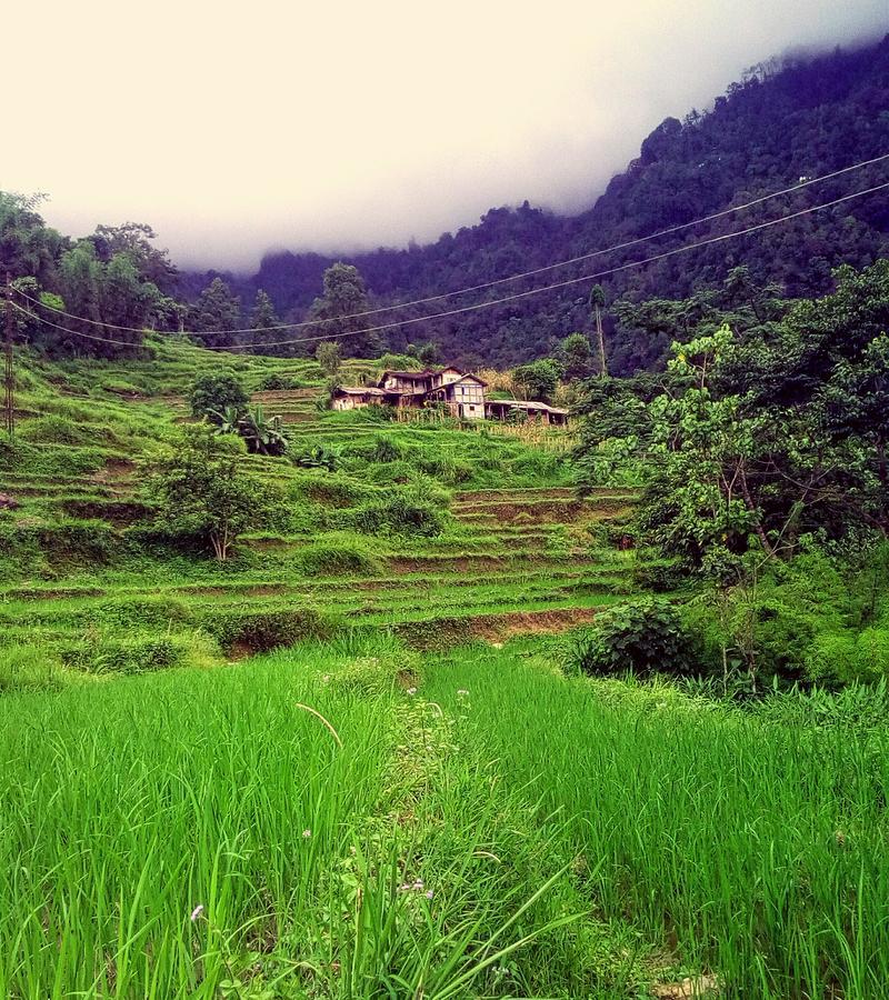 Enchanted Forest Farmstay Gangtok Exteriör bild