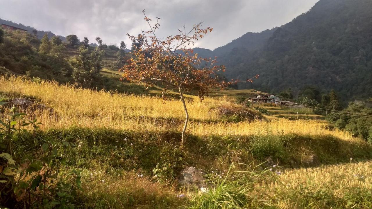 Enchanted Forest Farmstay Gangtok Exteriör bild