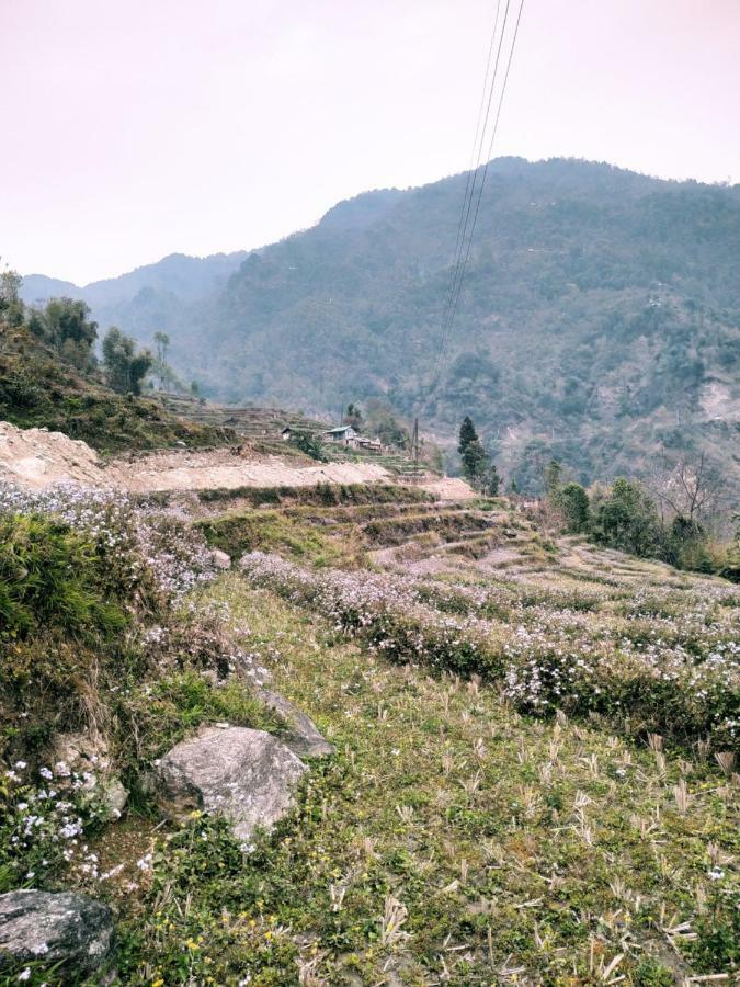 Enchanted Forest Farmstay Gangtok Exteriör bild