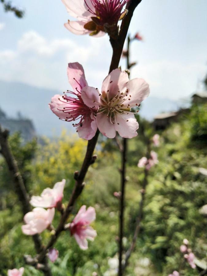 Enchanted Forest Farmstay Gangtok Exteriör bild