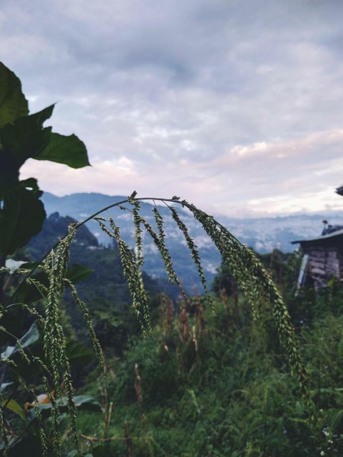 Enchanted Forest Farmstay Gangtok Exteriör bild